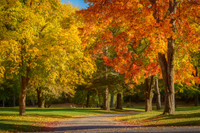 Autumn Stroll
