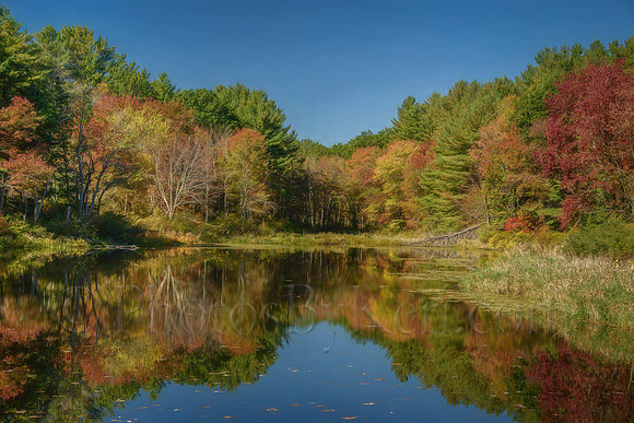 Mill Pond VIew