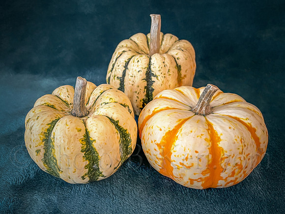 Oh My Gourd