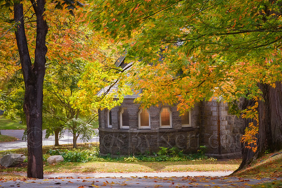 Autumn Aura