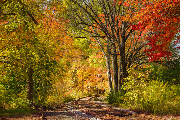 Autumn On The Rails