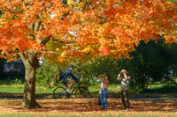 Leaf Peeping
