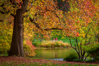 By The Pond