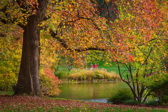 By The Pond