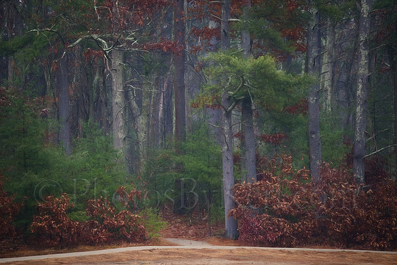 The Edge of November