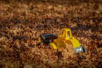 Leaf Me Alone