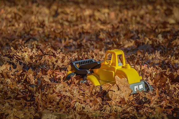 Leaf Me Alone