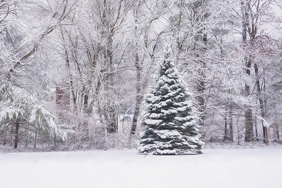 Winter Refresh