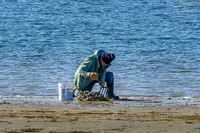 Clam You Dig It (At Work Series 2023 #1)