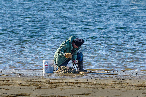 Clam You Dig It (At Work Series 2023 #1)