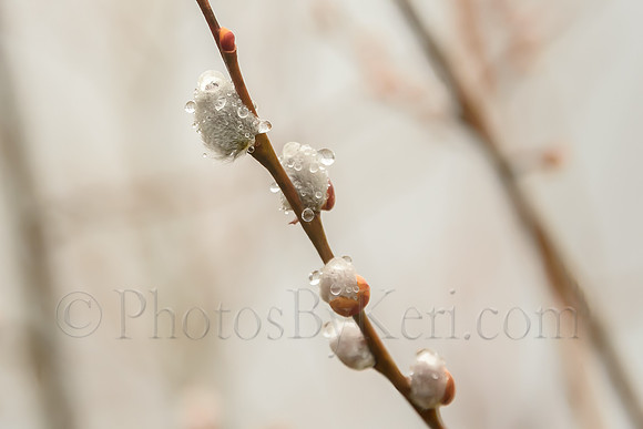 Fuzzy Raindrops