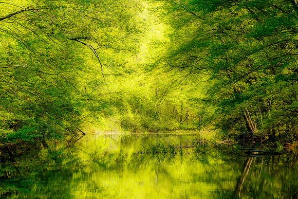 Reservoir Reflections