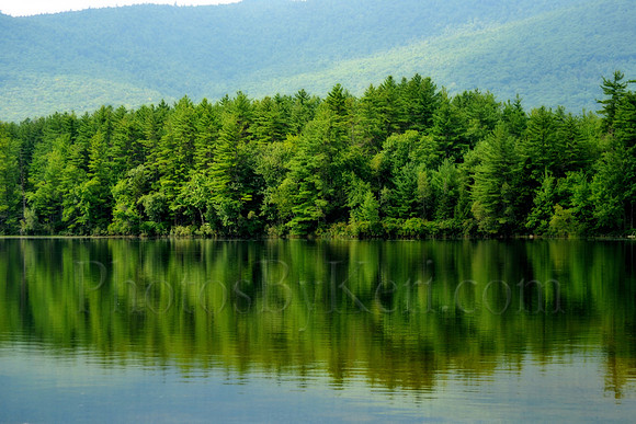 Pure Reflections