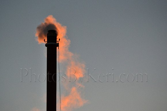 Pink Steam