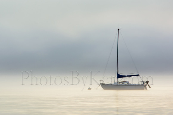 Into The Fog