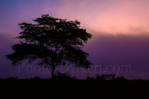 Dawn's Early Colors