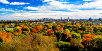 Boston Skyline above Cambridge Foliage