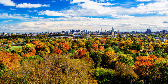 Boston Skyline above Cambridge Foliage