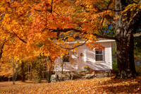 Autumn At The Cottage