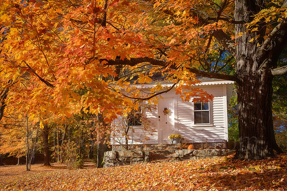 Autumn At The Cottage