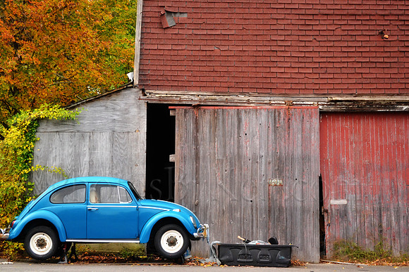The Barn And The Blue Bug