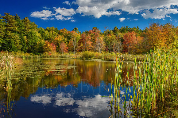 Autumn Reflections