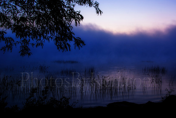 Foggy Dawn
