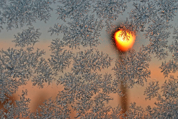 Frosted