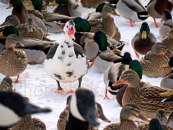 Standing Out