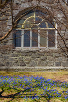 Spring Carpet