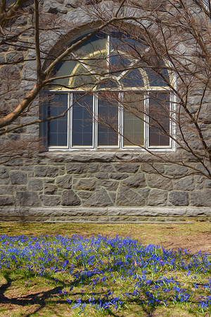 Spring Carpet
