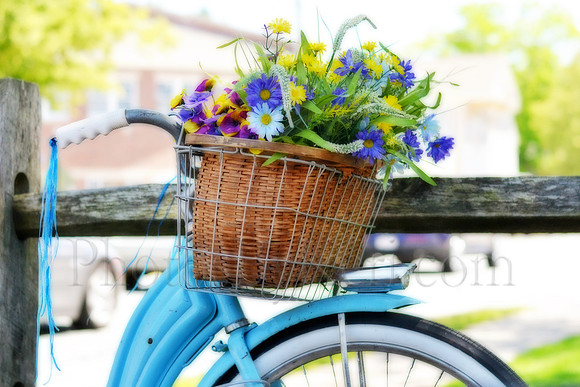 Basket of Flowers