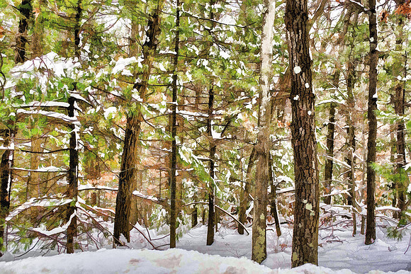 Snowy Woods Painting