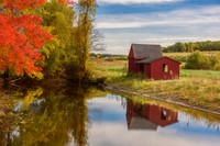 Pondside Reflection