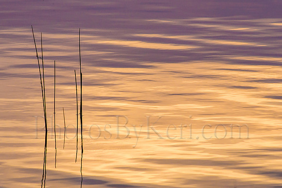 Lake Simplicity