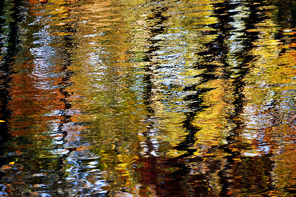 Reflections of Colors