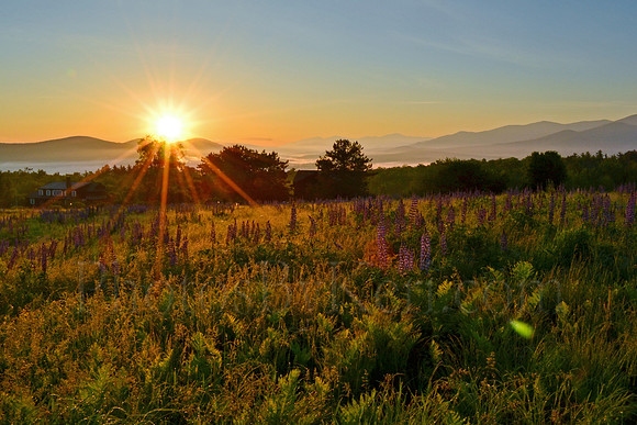 Sugar Hill Sunrise