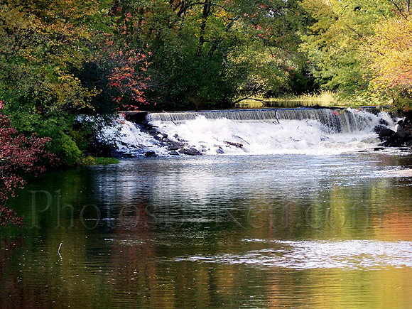 The Rush of Fall