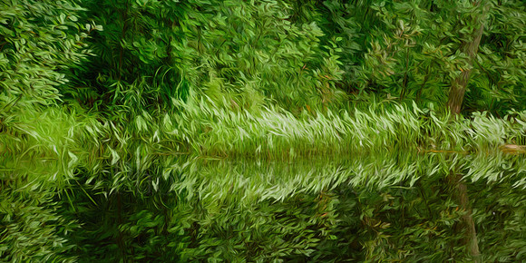 Fiery Green Reflections