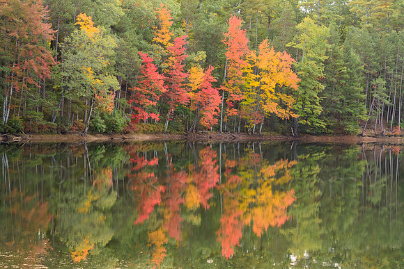 Symphonic Autumn Reflections