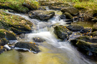 Autumn Scenics