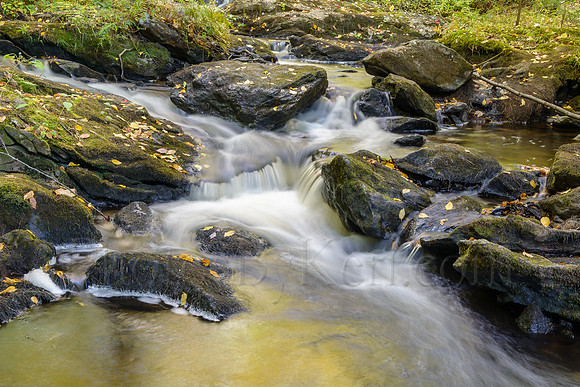 Autumnal Cascades