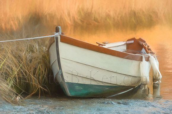 Dory At Rest
