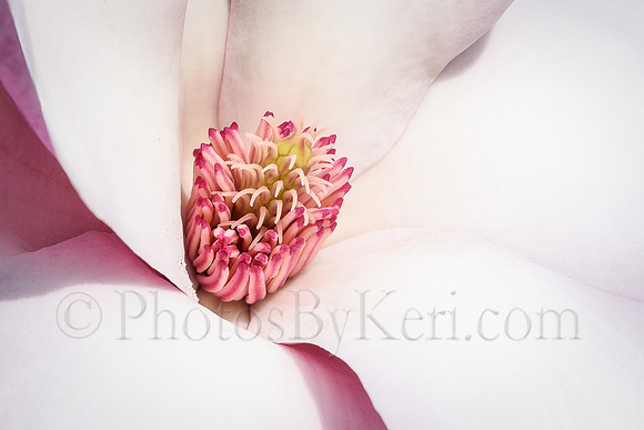 Beauty On The Inside