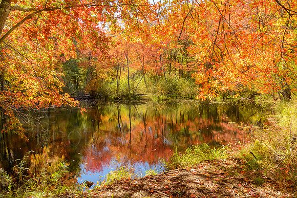 Fire Pond
