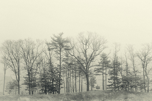 Winter Minimalism