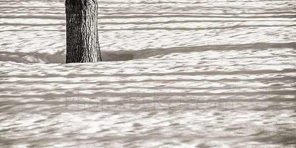 Shadows On The Snow