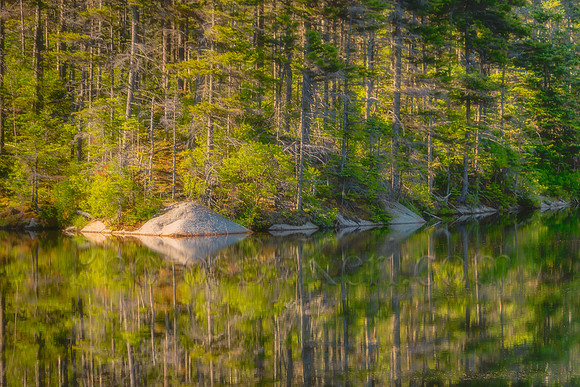 Peaceful Reflections