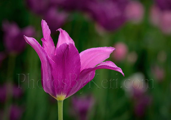 Standing Out