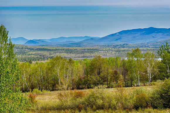Spring View In Jefferson